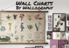Wall Charts by Wallography homeartyhome
