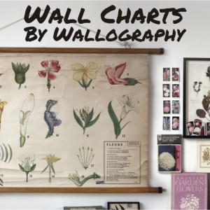 Wall Charts by Wallography homeartyhome