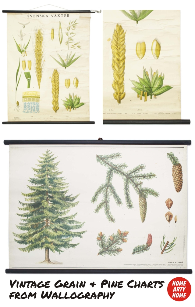 Wall Charts by Wallography homeartyhome grain and pine