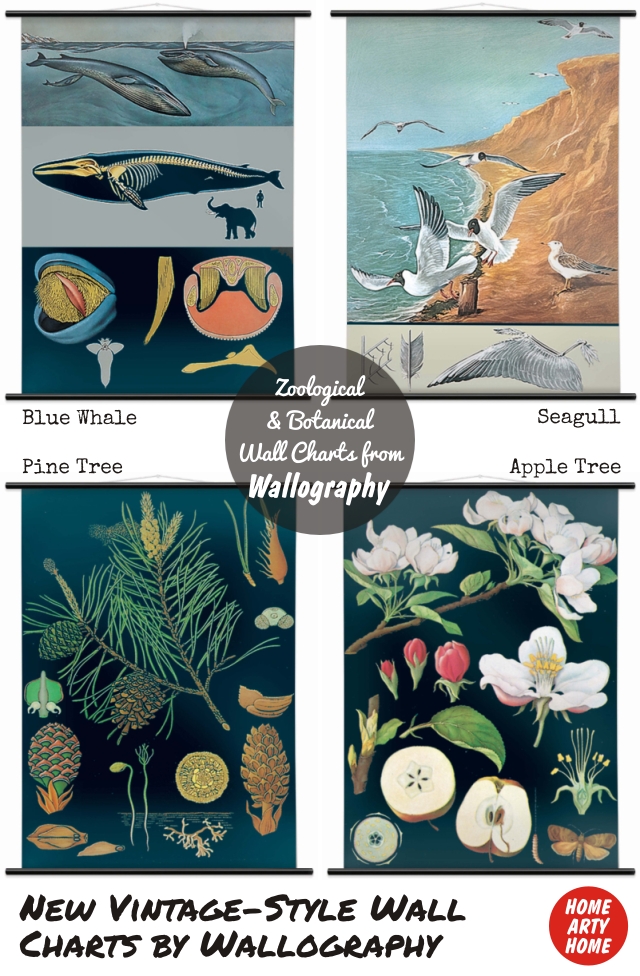 Wall Charts by Wallography homeartyhome new wall charts
