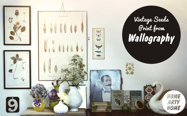 Wall Charts by Wallography homeartyhome vintage seeds