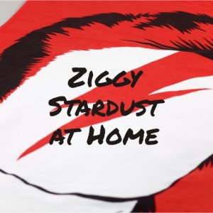 Ziggy Stardust at Home homeartyhome
