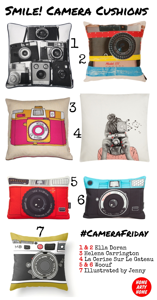 CameraFriday Cushions homeartyhome